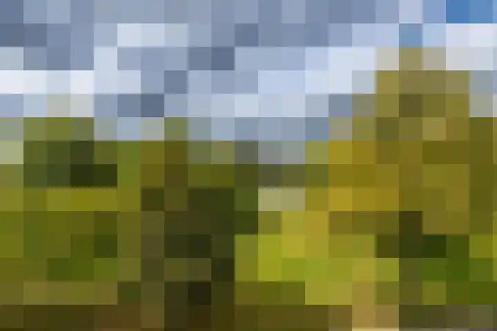 Pioenstraat 80 1 Groningen thumbnail 38