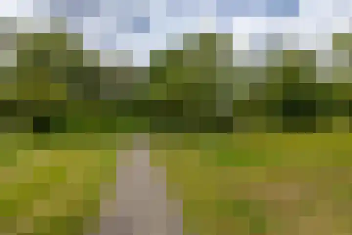 Pioenstraat 80 1 Groningen thumbnail 39