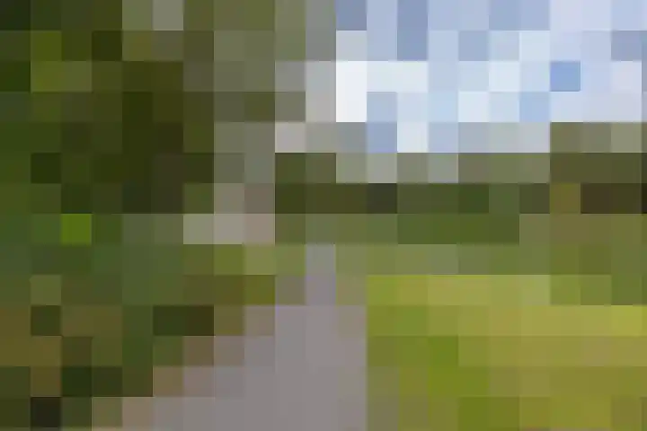 Pioenstraat 80 1 Groningen thumbnail 40