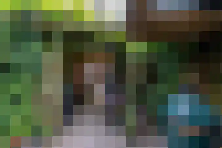 Pioenstraat 80 1 Groningen thumbnail 8