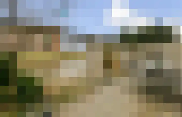 Pioentuin 13 Bergschenhoek thumbnail 10