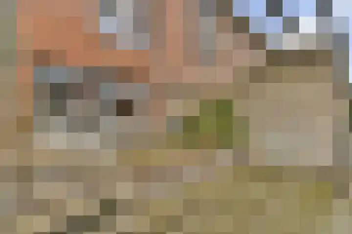 Pioentuin 13 Bergschenhoek thumbnail 12
