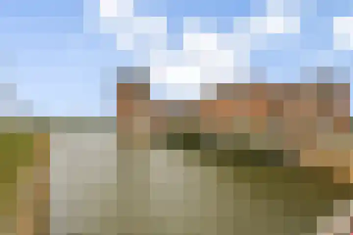 Pioentuin 13 Bergschenhoek thumbnail 29
