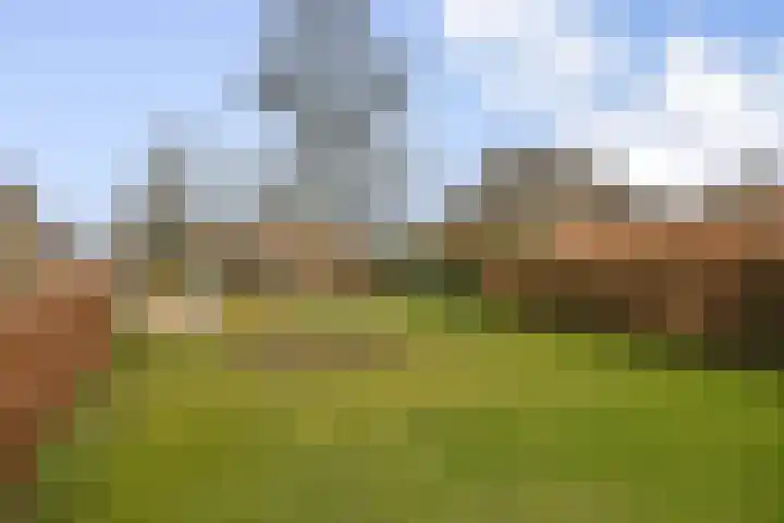 Pioentuin 13 Bergschenhoek thumbnail 30