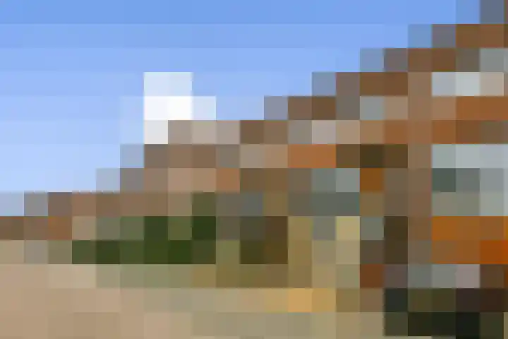 Pioentuin 13 Bergschenhoek thumbnail 5