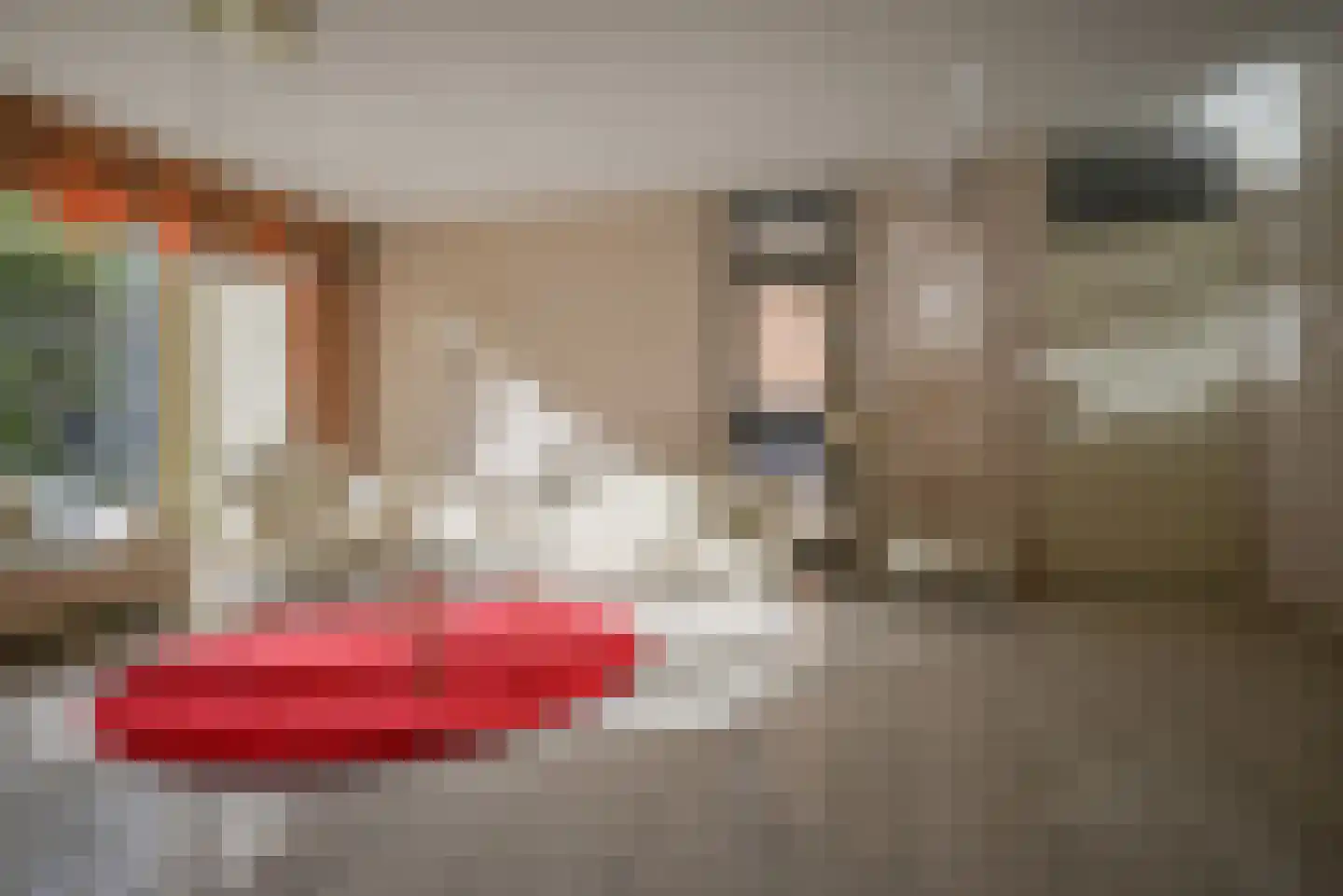 Pioentuin 6 Bergschenhoek thumbnail 11