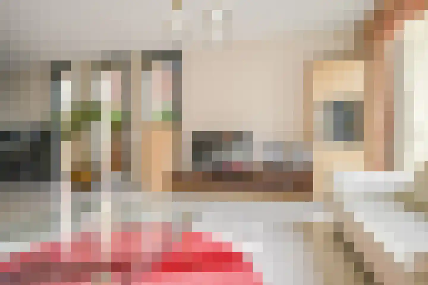 Pioentuin 6 Bergschenhoek thumbnail 12
