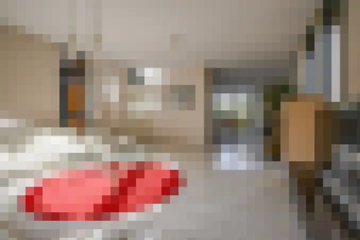 Pioentuin 6 Bergschenhoek thumbnail 13