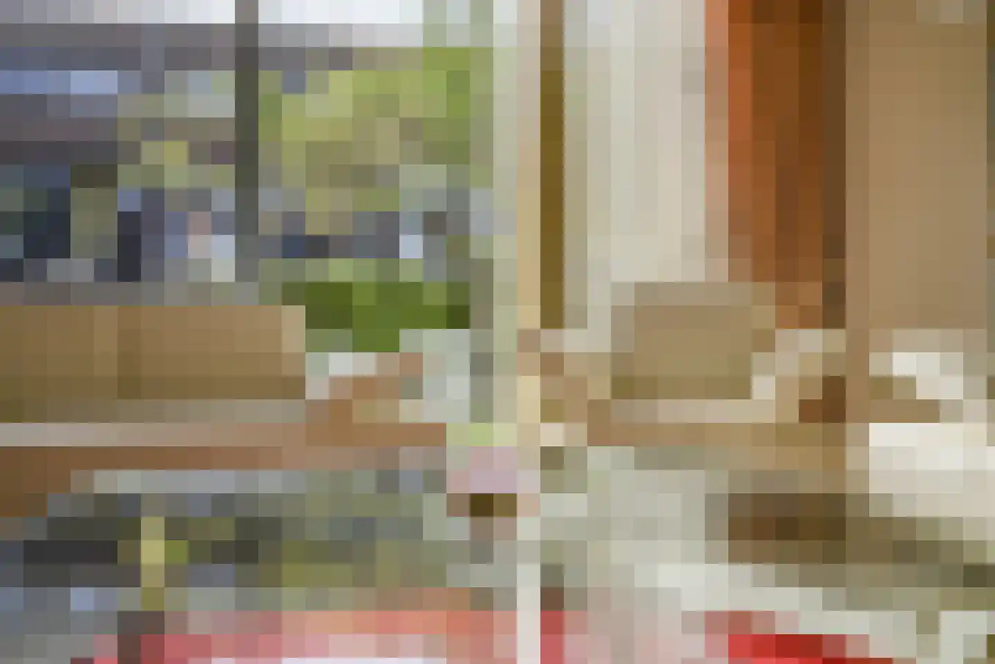 Pioentuin 6 Bergschenhoek thumbnail 14