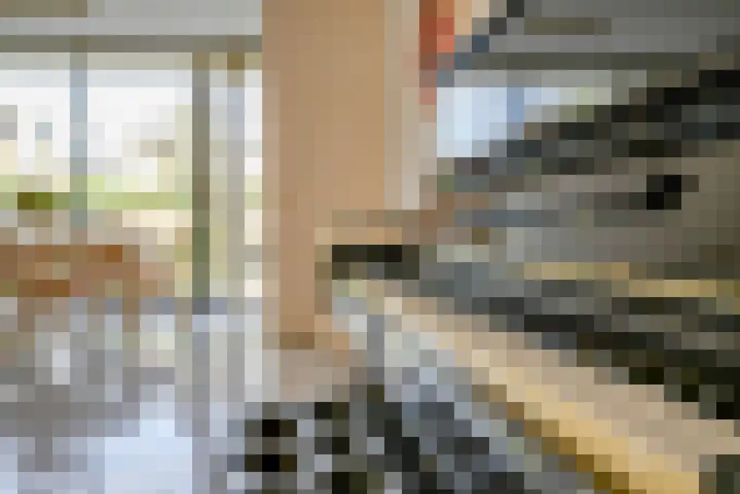 Pioentuin 6 Bergschenhoek thumbnail 15