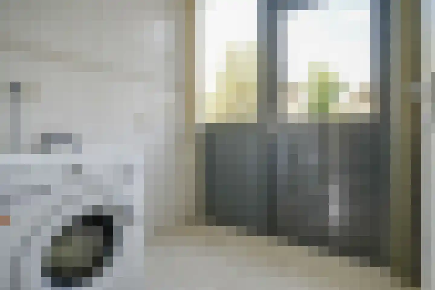 Pioentuin 6 Bergschenhoek thumbnail 21