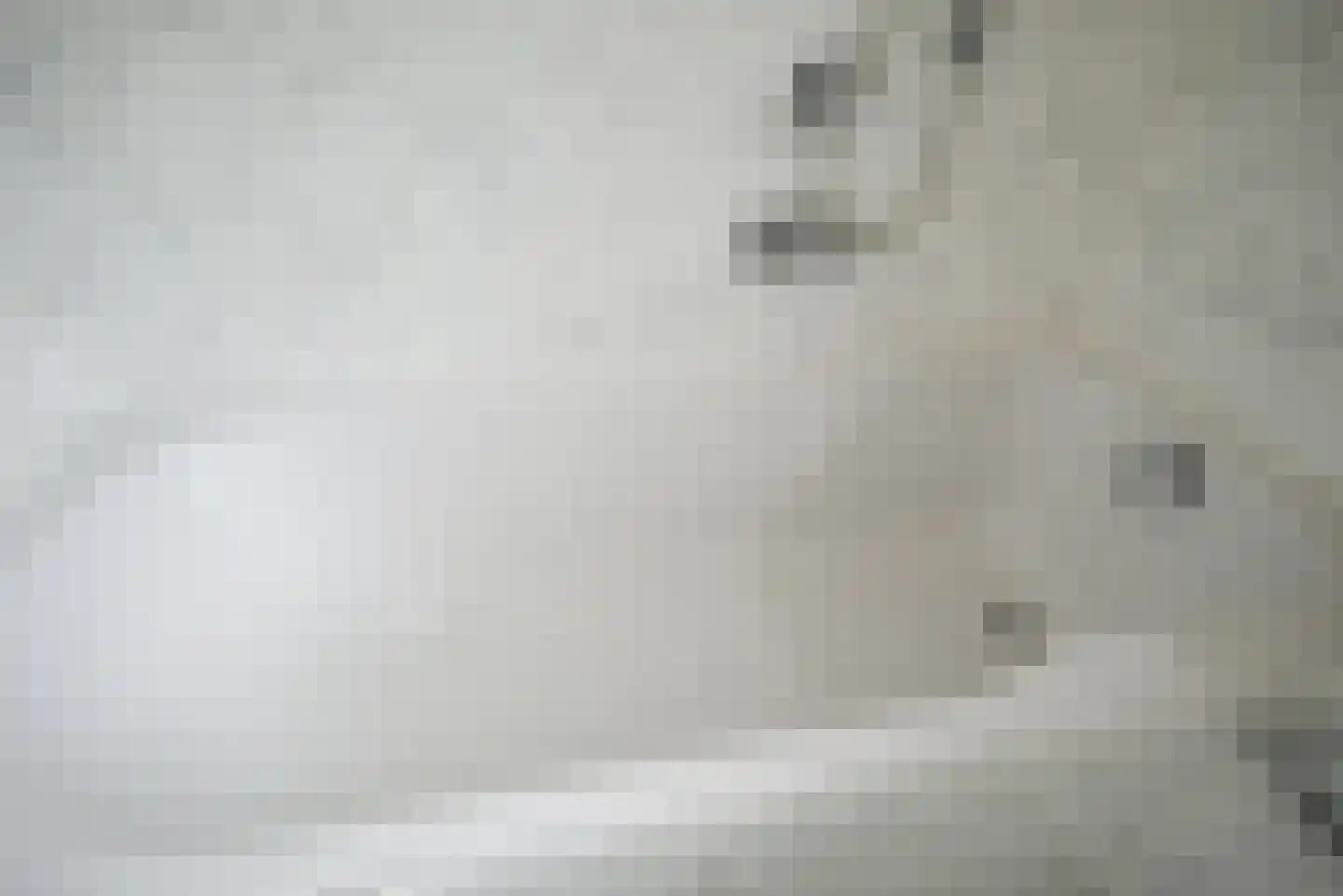 Pioentuin 6 Bergschenhoek thumbnail 32