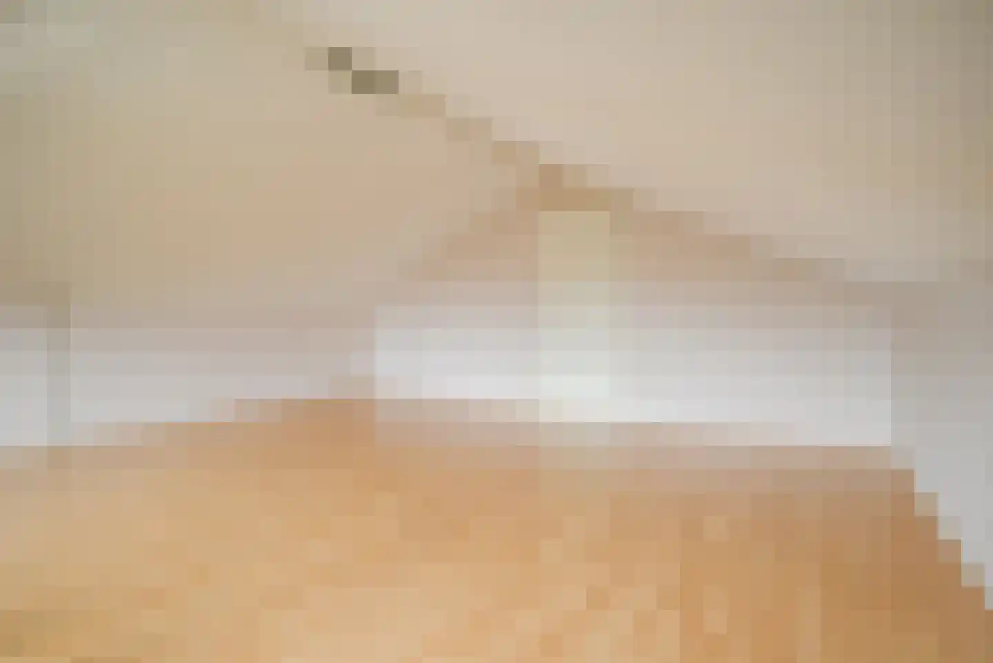Pioentuin 6 Bergschenhoek thumbnail 41