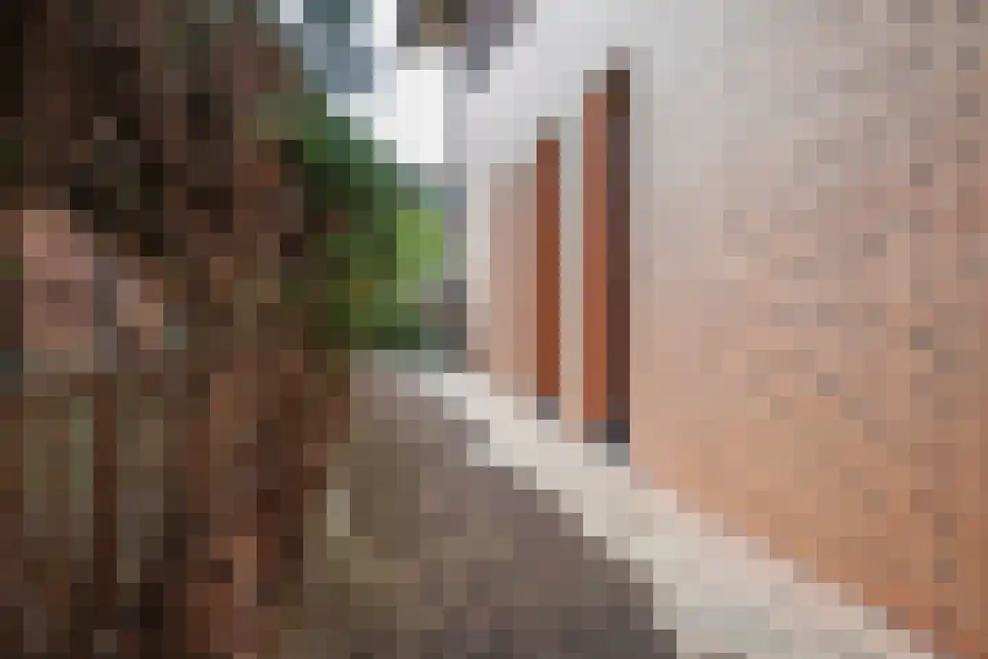 Pioentuin 6 Bergschenhoek thumbnail 49