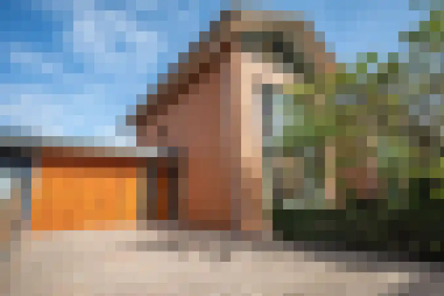 Pioentuin 6 Bergschenhoek thumbnail 5