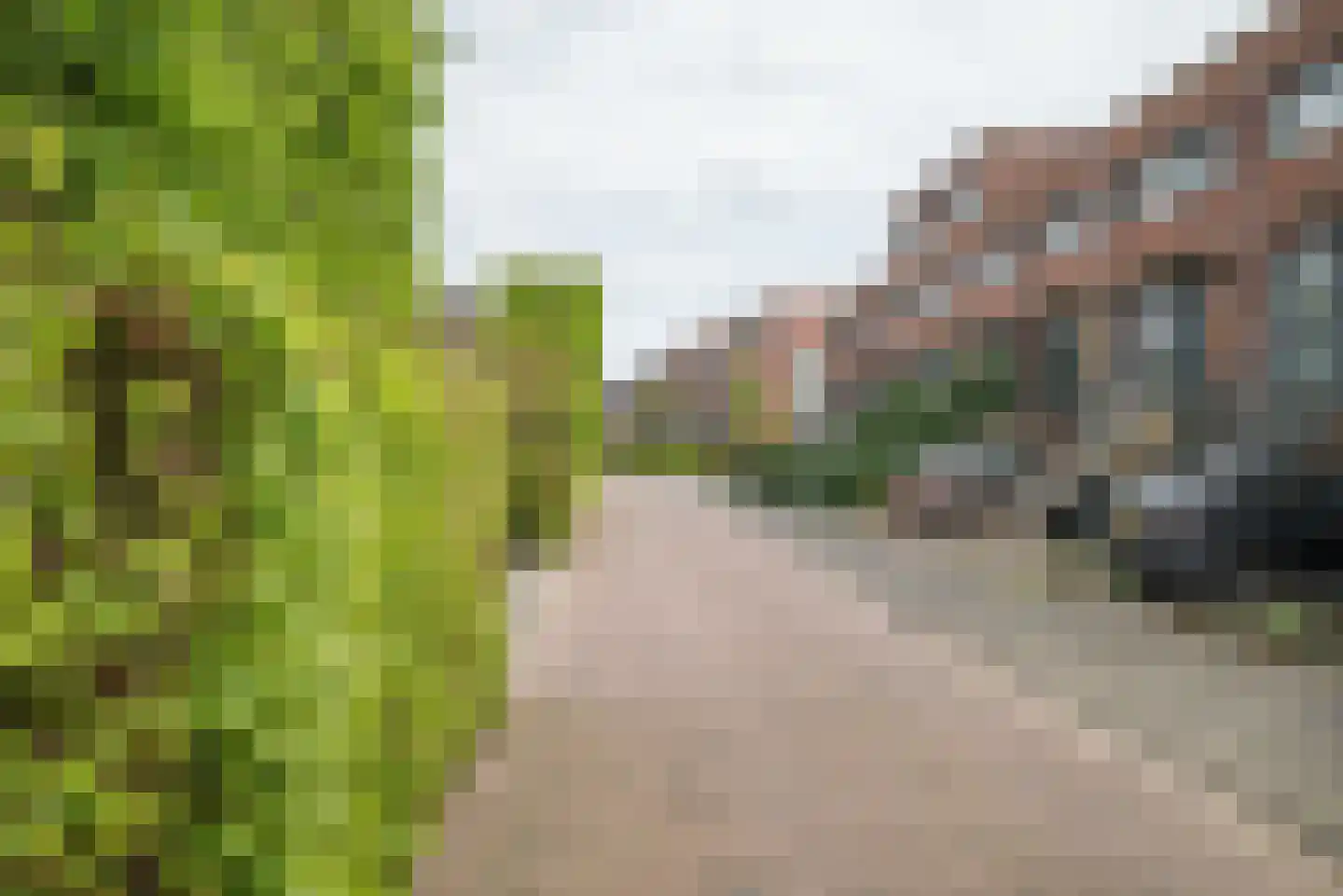 Pioentuin 6 Bergschenhoek thumbnail 51