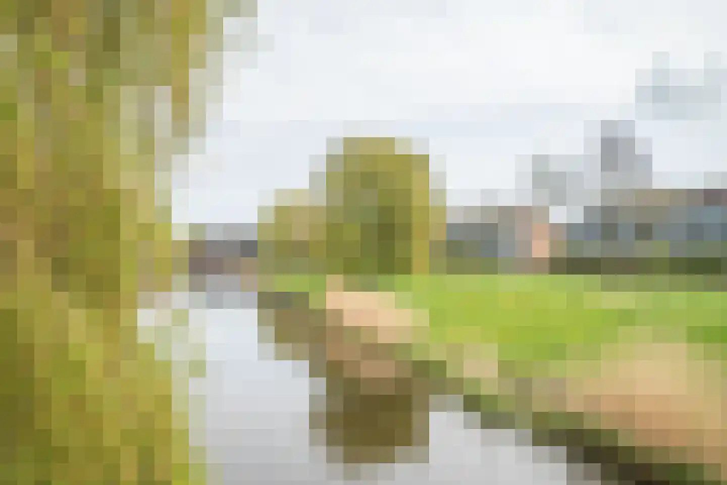 Pioentuin 6 Bergschenhoek thumbnail 52