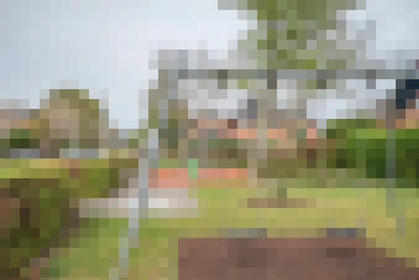 Pioentuin 6 Bergschenhoek thumbnail 53
