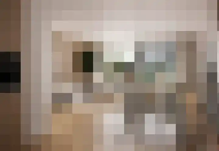 Pioentulp 97 Hillegom thumbnail 11