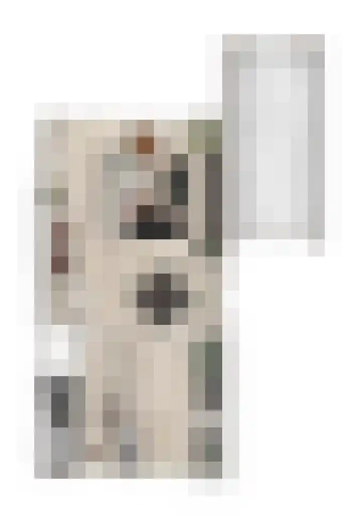 Pioentulp 97 Hillegom thumbnail 8