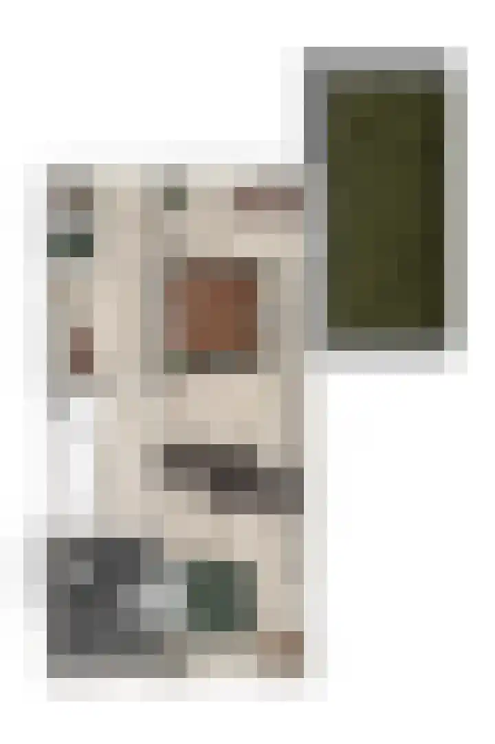 Pioentulp 97 Hillegom thumbnail 9