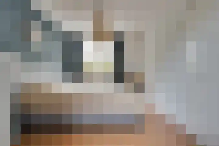 Pioenvallei 1 's-Hertogenbosch thumbnail 12