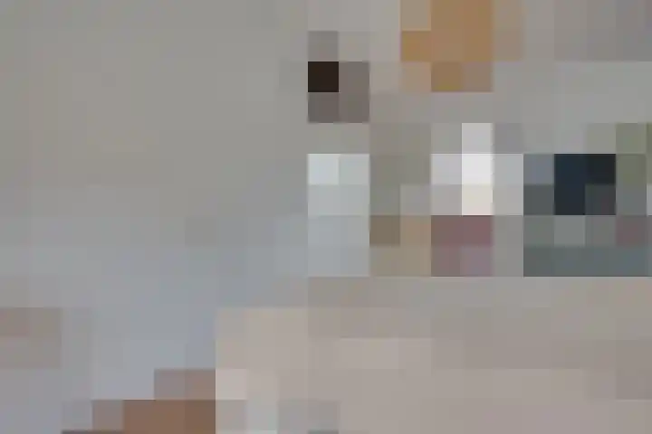 Pioenvallei 1 's-Hertogenbosch thumbnail 13