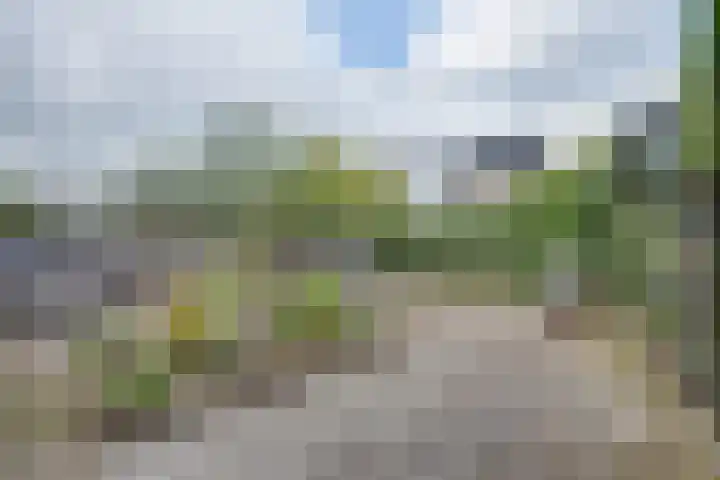 Pioenvallei 1 's-Hertogenbosch thumbnail 20