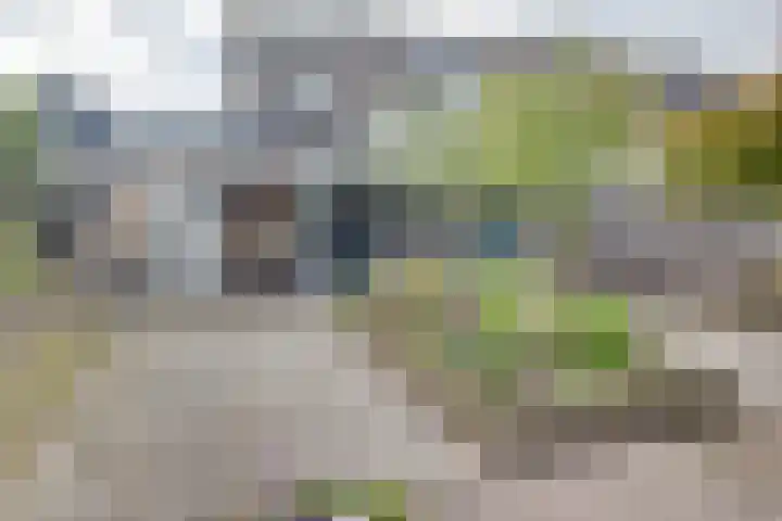 Pioenvallei 1 's-Hertogenbosch thumbnail 21