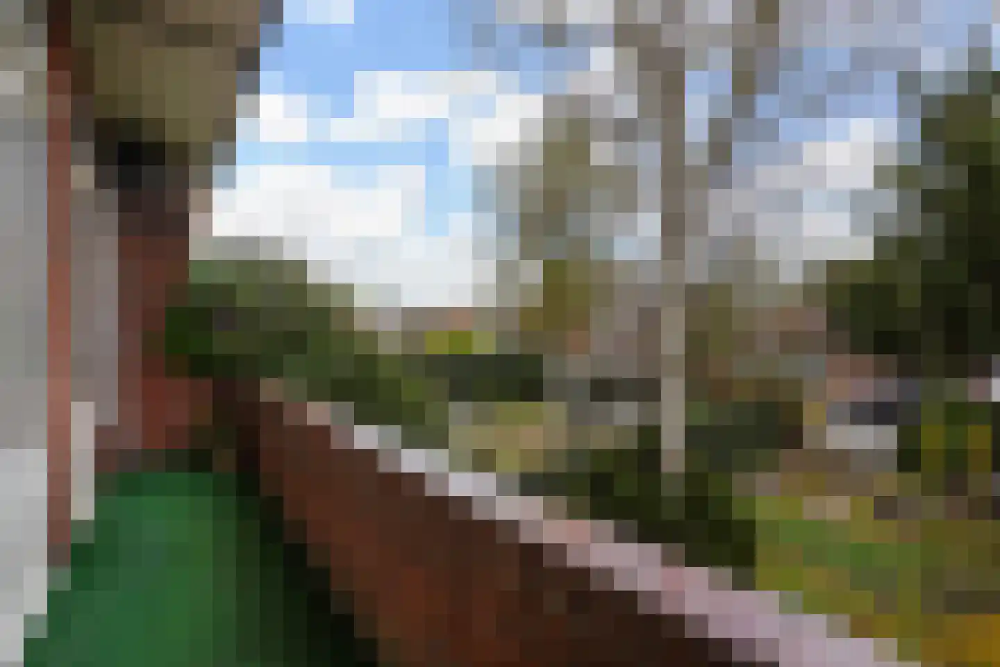 Pioenweg 11 Den Haag thumbnail 8
