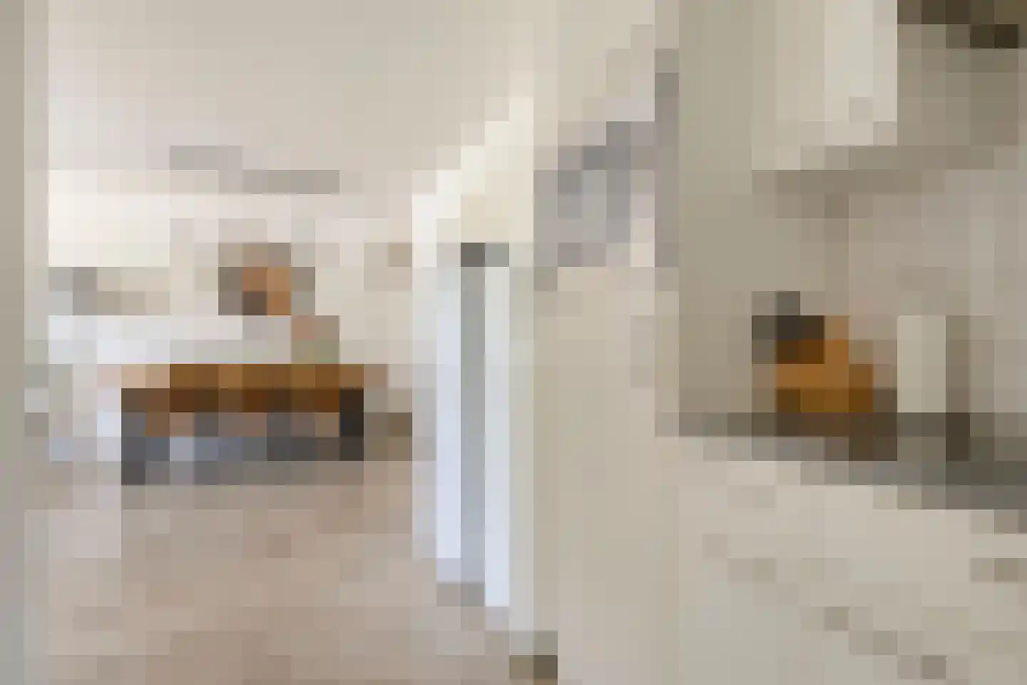 Pionier 11 Odiliapeel thumbnail 13