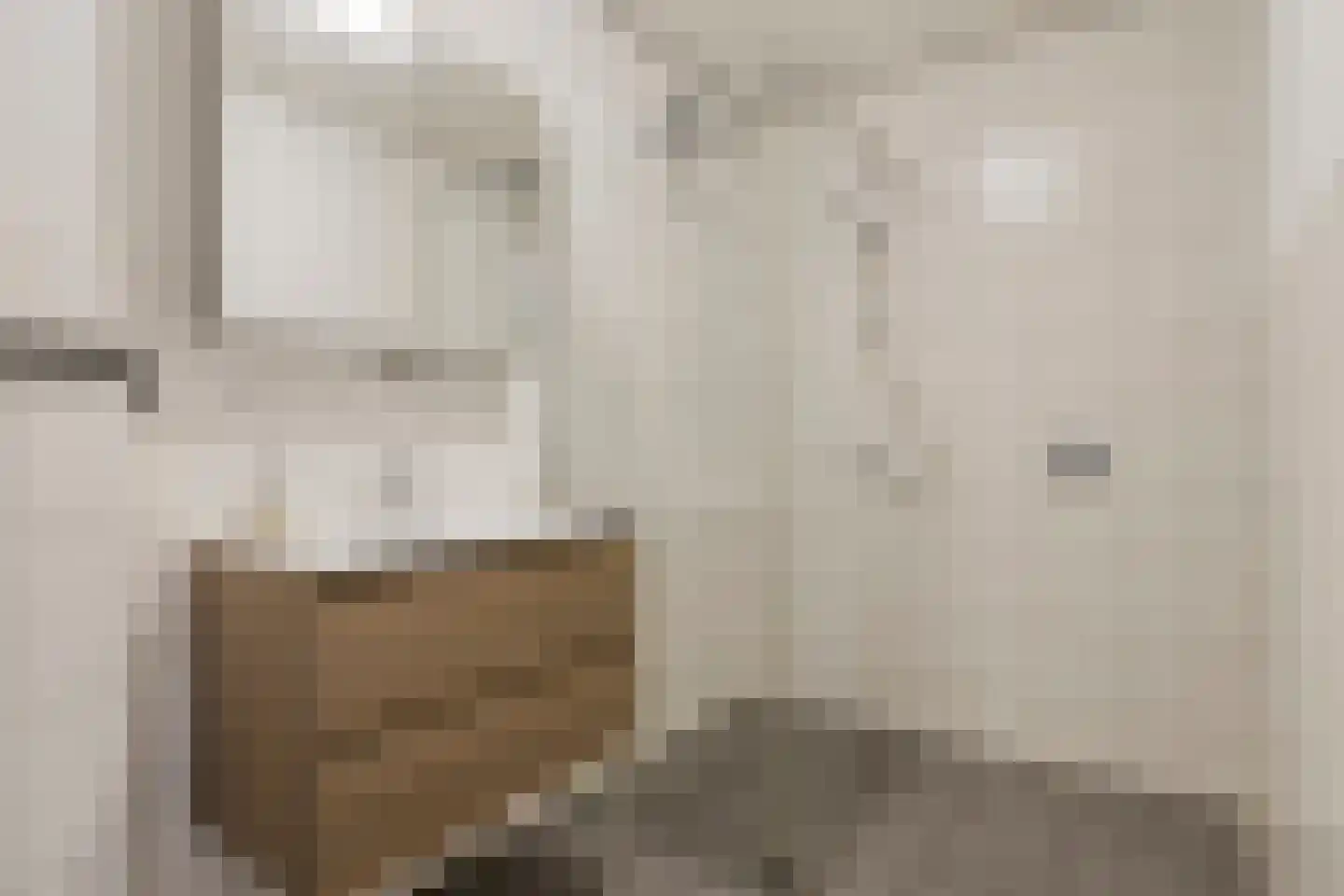 Pionier 11 Odiliapeel thumbnail 17