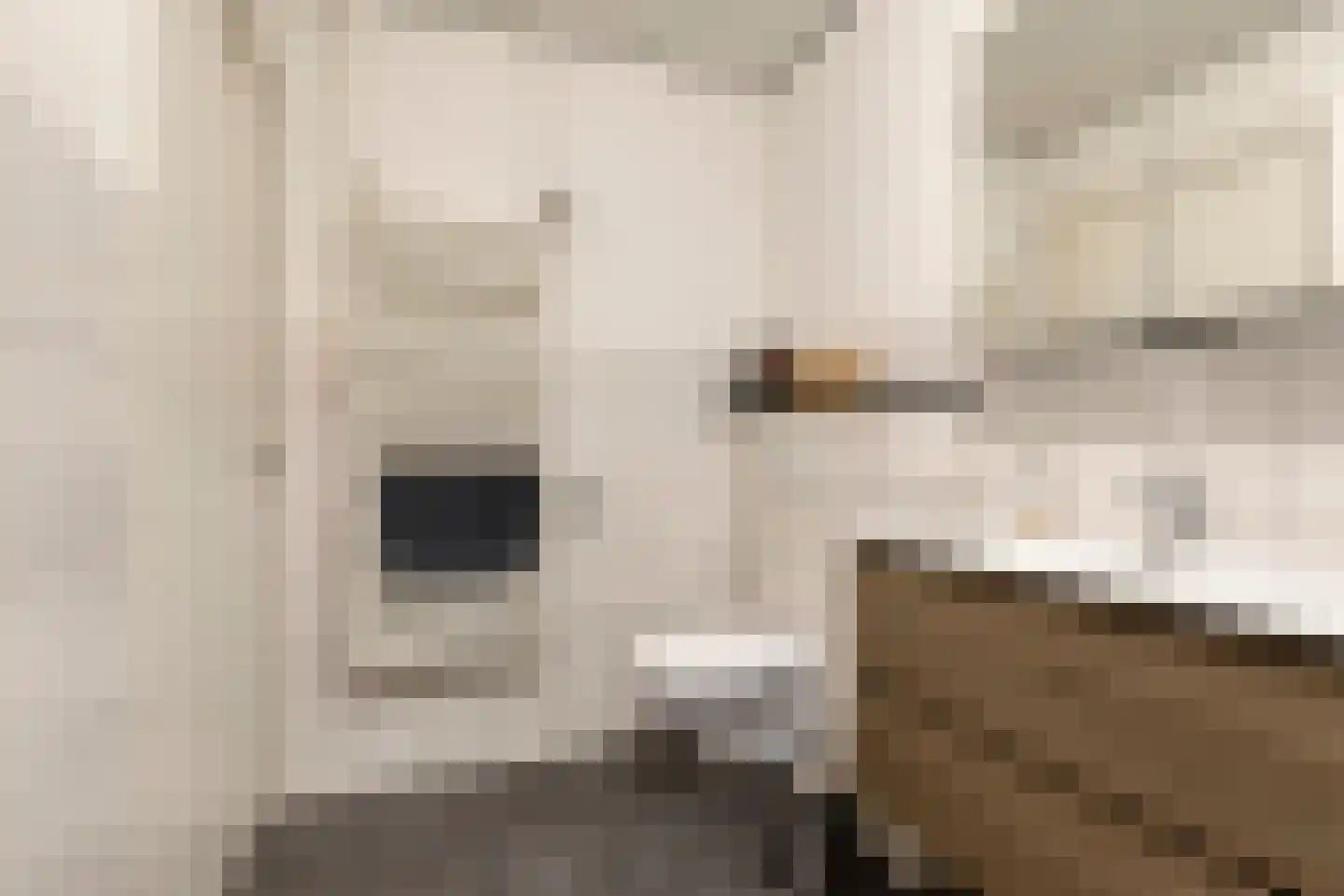 Pionier 11 Odiliapeel thumbnail 20