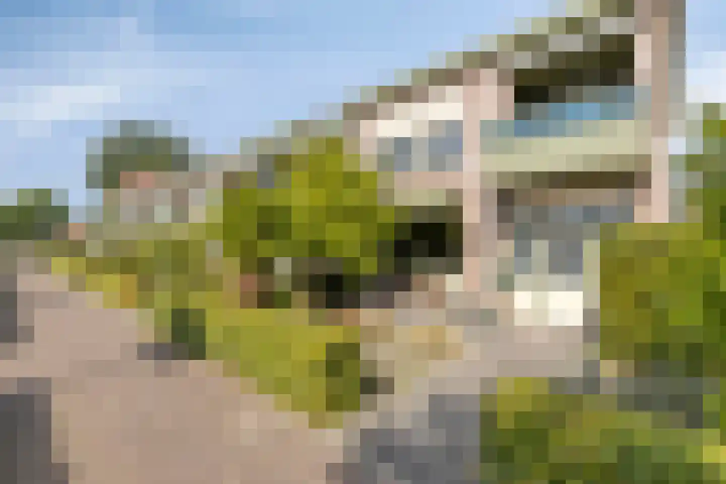 Pionier 11 Odiliapeel thumbnail 21