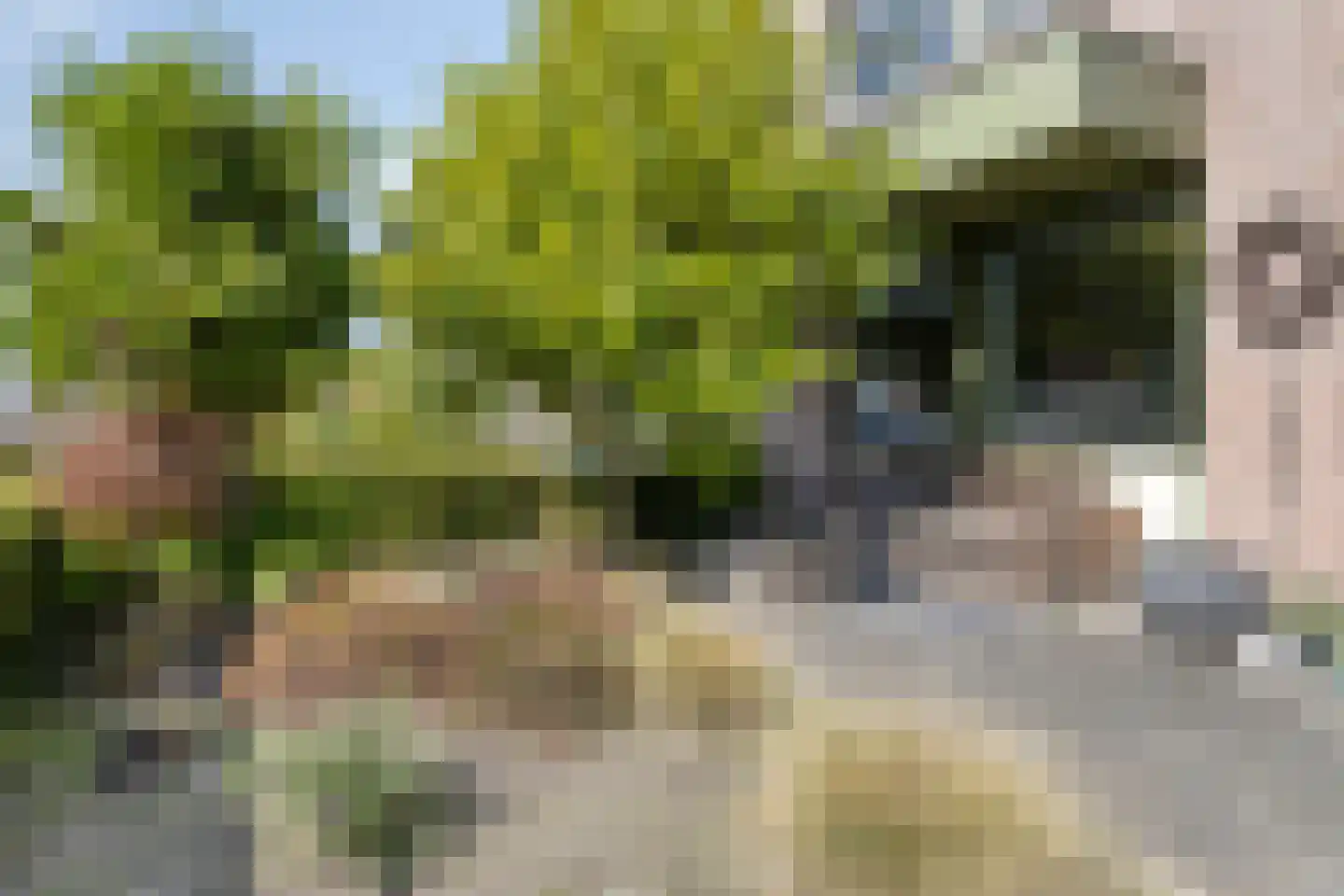 Pionier 11 Odiliapeel thumbnail 23
