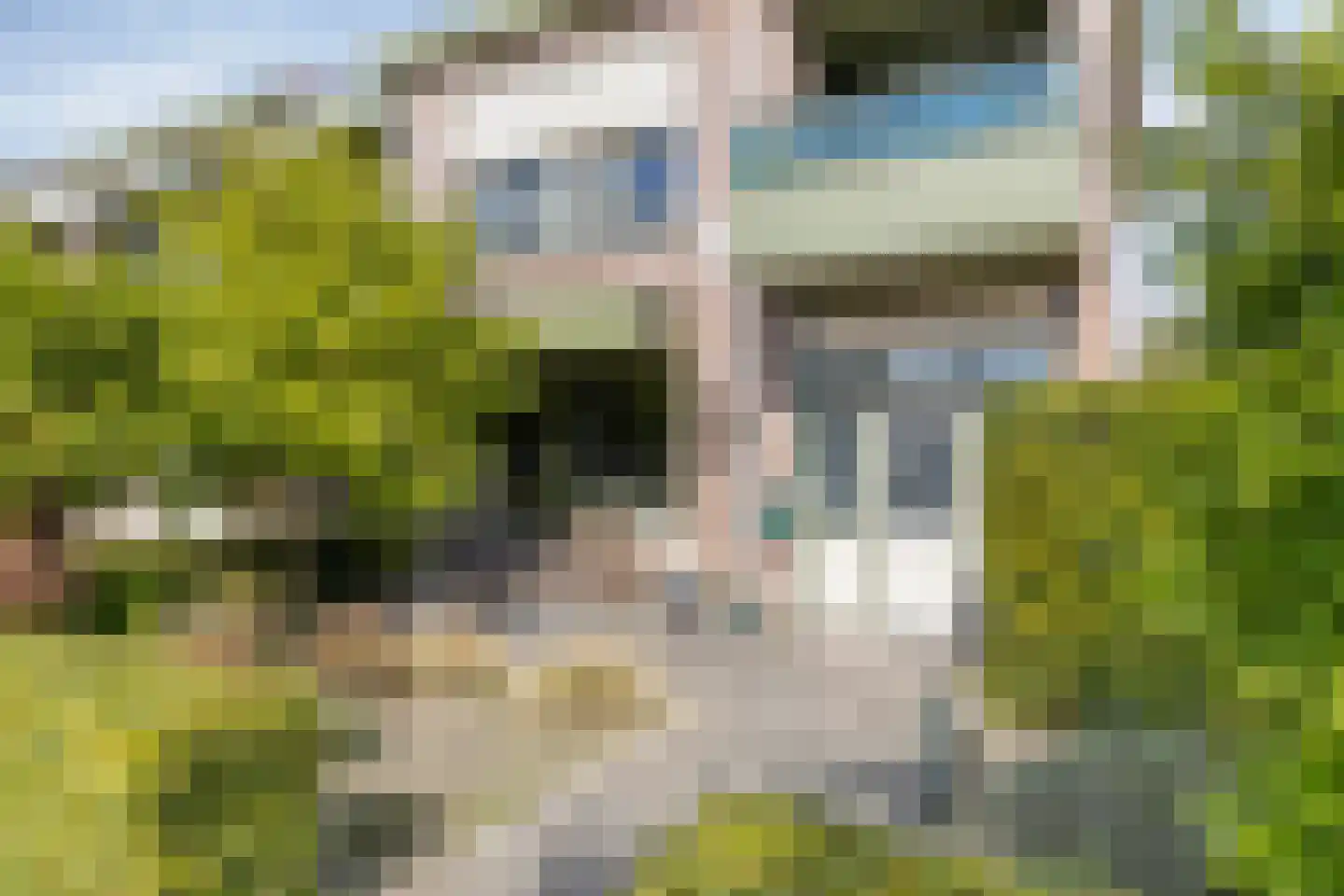 Pionier 11 Odiliapeel thumbnail 5