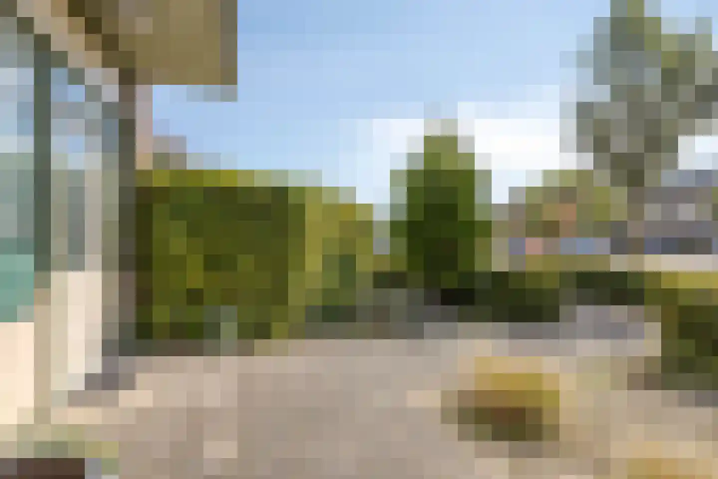 Pionier 11 Odiliapeel thumbnail 6