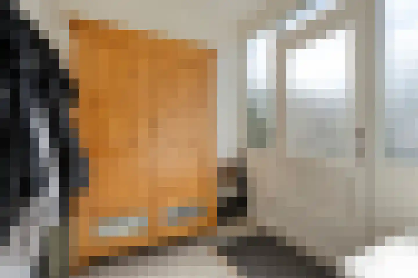 Pionier 11 Odiliapeel thumbnail 7