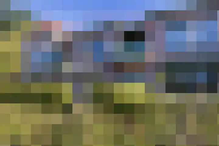 Pionier 15 Odiliapeel