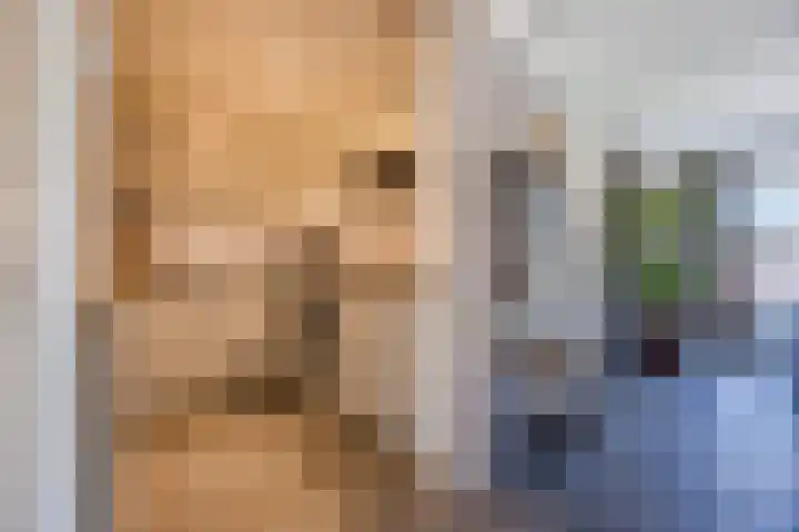 Pionier 15 Odiliapeel thumbnail 16