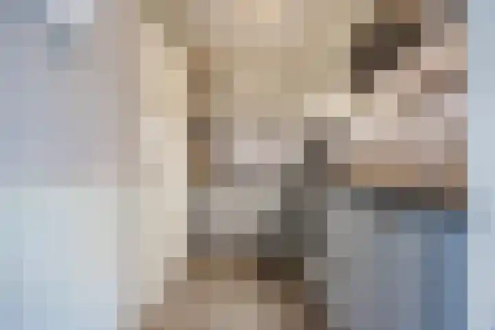 Pionier 15 Odiliapeel thumbnail 17