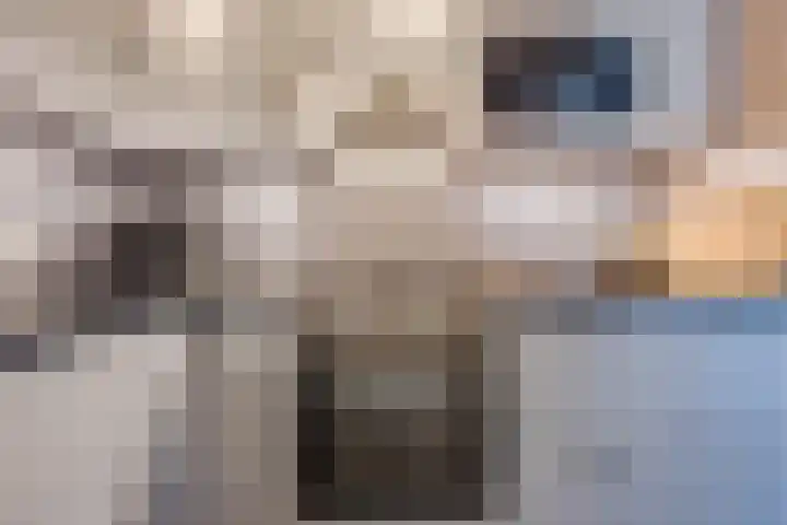 Pionier 15 Odiliapeel thumbnail 18