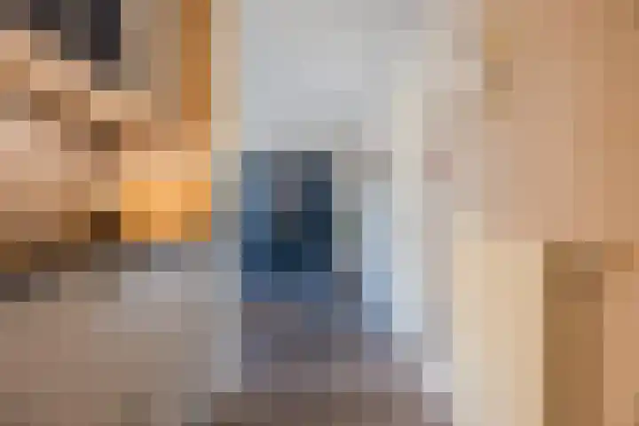 Pionier 15 Odiliapeel thumbnail 19