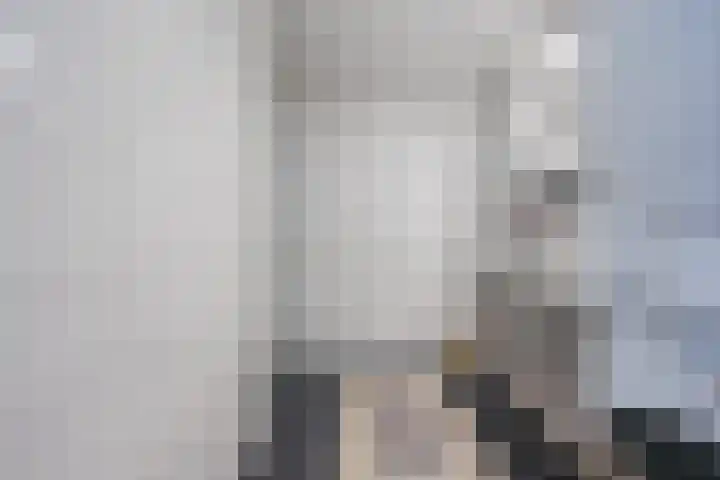 Pionier 15 Odiliapeel thumbnail 22