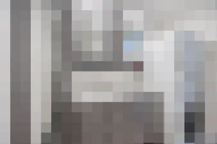 Pionier 15 Odiliapeel thumbnail 23