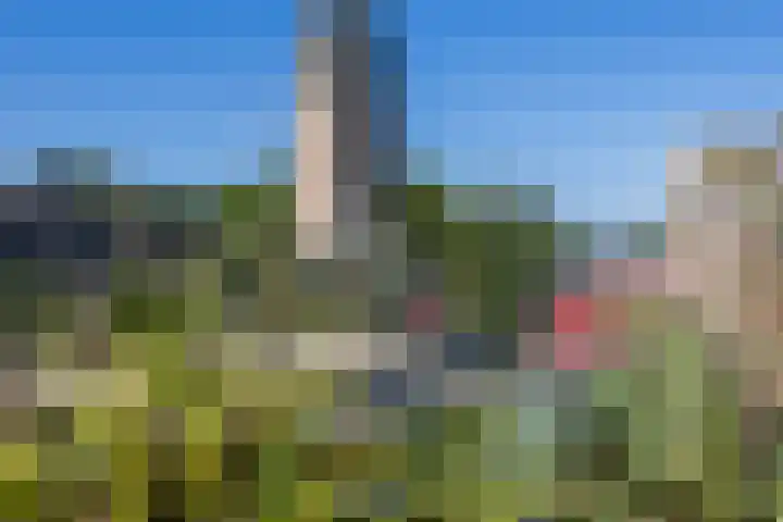 Pionier 15 Odiliapeel thumbnail 32