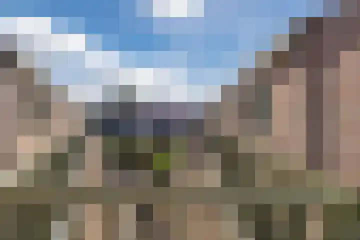 Pionier 15 Odiliapeel thumbnail 34