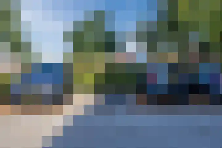 Pionier 15 Odiliapeel thumbnail 37