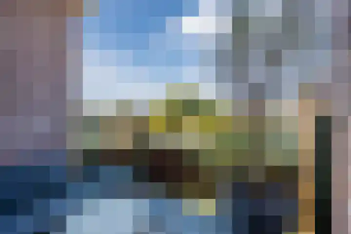Pionier 15 Odiliapeel thumbnail 4