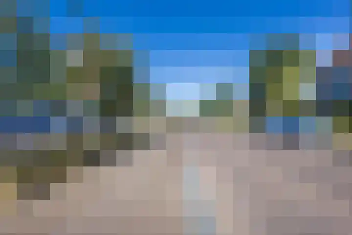 Pionier 15 Odiliapeel thumbnail 40